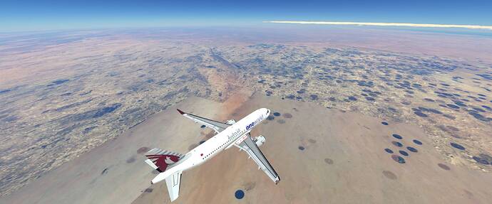 Microsoft Flight Simulator 8_2_2021 3_40_53 AM