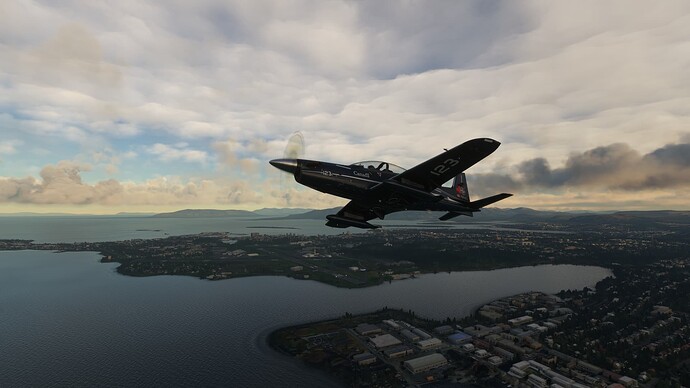 Screenshot 2023-11-17 135726