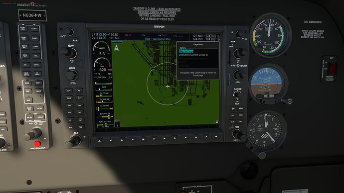 Microsoft Flight Simulator 1_30_2024 1_22_17 PM