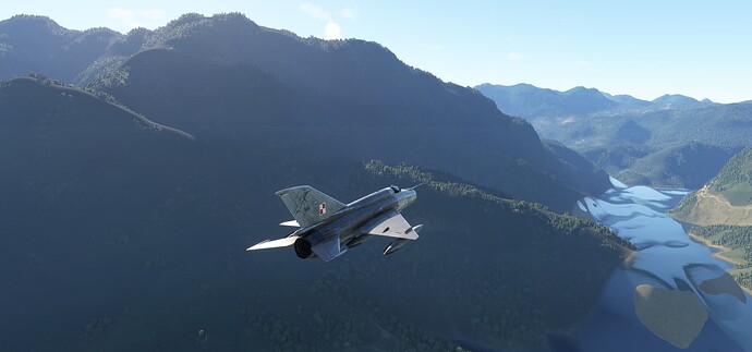 Microsoft Flight Simulator-2024_12_31-11-09-57