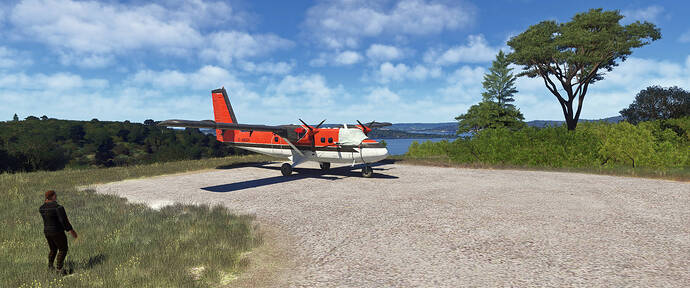 MSFS 2024 - Rakiura_01