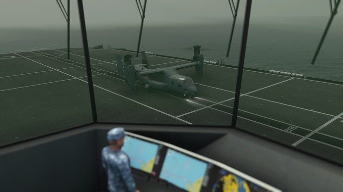 Microsoft Flight Simulator (357)