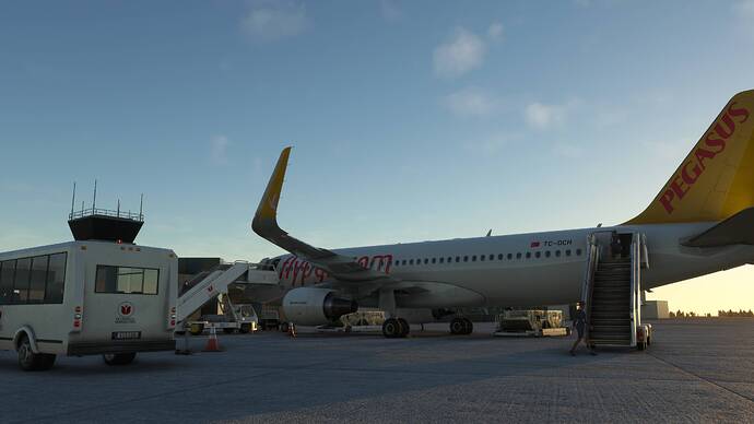 2025-11-02 14_23_51-Microsoft Flight Simulator - 1.39.9.0