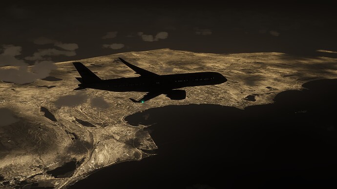 Microsoft Flight Simulator 2024-2025_07_29-19-11-03