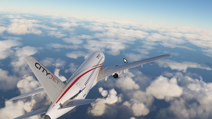 Microsoft Flight Simulator_2024.11.11-15.46_1