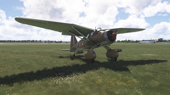 54834690646_81e7f05c20_k