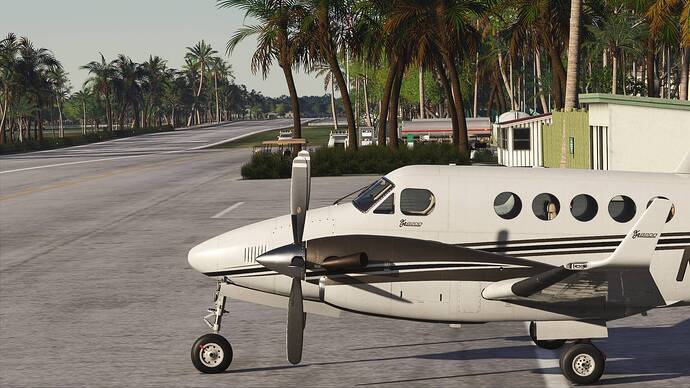FlightSimulator2024_2026-04-17_18-20-24_534