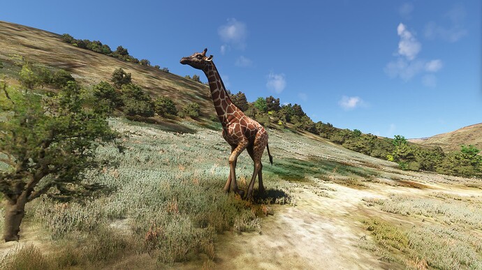 Screenshot 2025-03-09 214220