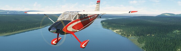 Microsoft Flight Simulator 5_24_2024 3_21_49 PM