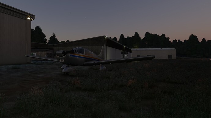 Microsoft Flight Simulator 2025-06-11 8_58_42 PM
