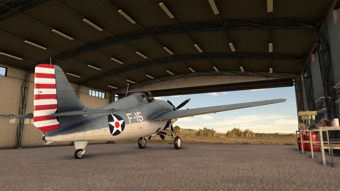 Microsoft Flight Simulator-2023_12_10-22-42-34