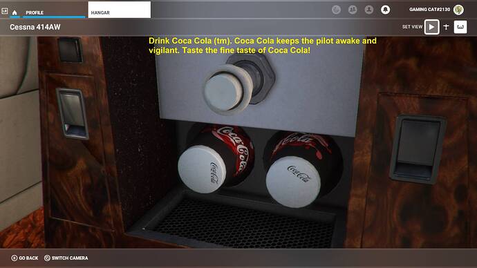 Microsoft Flight Simulator 6_20_2022 12_40_33 PM