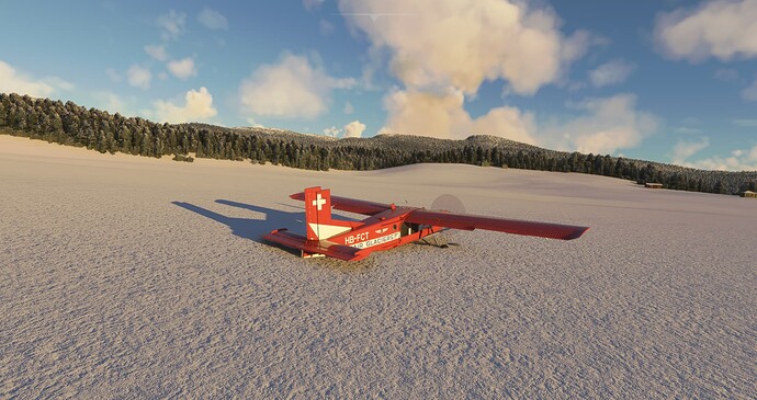Bug on ice.PNG