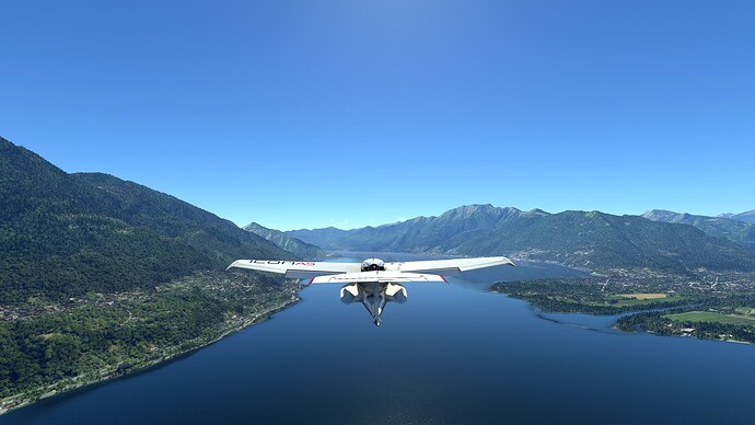 Microsoft Flight Simulator 8_8_2022 10_14_34 AM