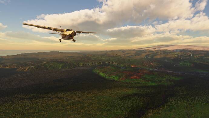 Microsoft Flight Simulator Screenshot 2021.06.27 - 00.01.08.01