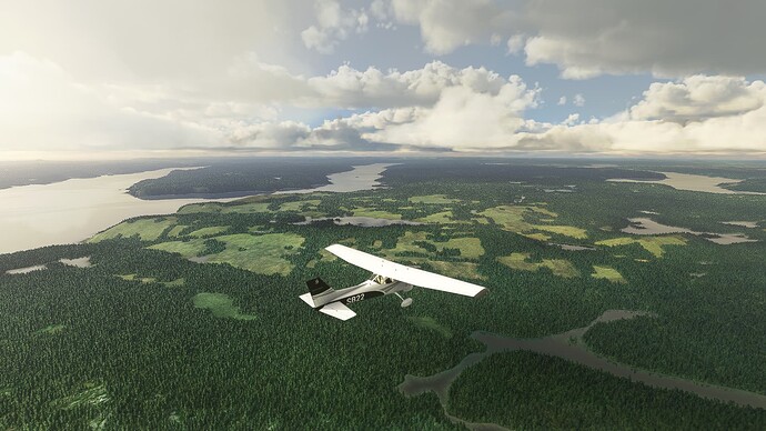 4_st-john_springdale_raw