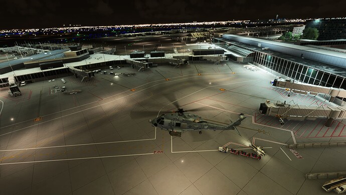 FlightSimulator2024 2025-08-24 18-04-28_257