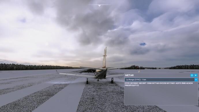 Microsoft Flight Simulator Screenshot 2022.01.20 - 20.08.37.71