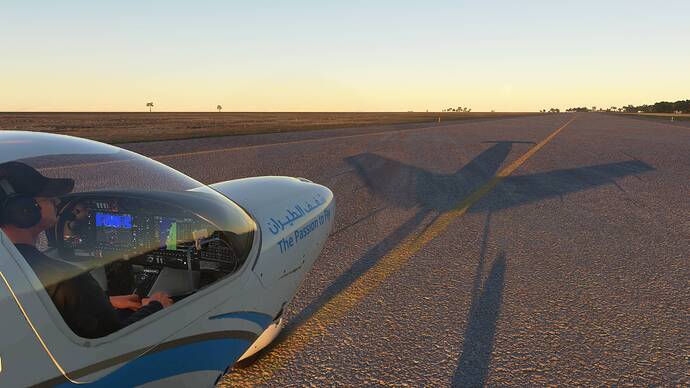 Microsoft Flight Simulator 21-Oct-21 8_45_54 PM (2)