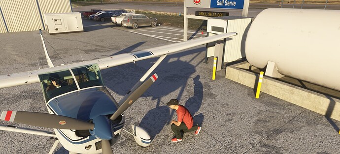 Microsoft Flight Simulator 2024 Screenshot 2025.02.21 - 14.14.29.05