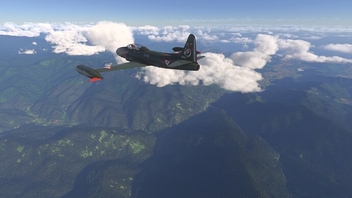 Microsoft Flight Simulator 2024-2025_06_21-10-00-17