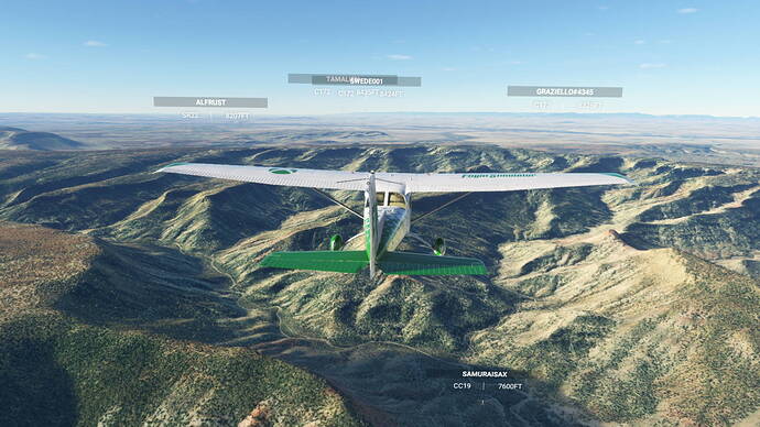 Microsoft Flight Simulator Screenshot 2021.08.06 - 22.47.10.78