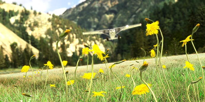 Microsoft Flight Simulator Screenshot 2024.05.22 - 13.42.00.24