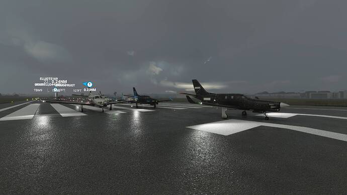 Microsoft Flight Simulator 8_8_2021 11_32_30 AM