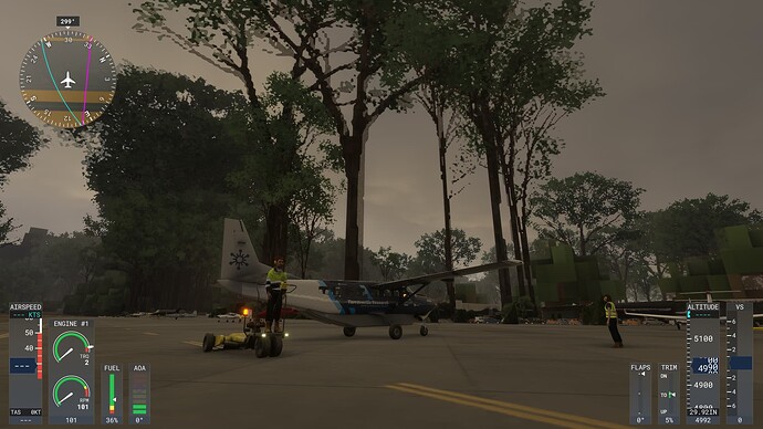 Microsoft Flight Simulator 2024 22.11.2024 21_00_37