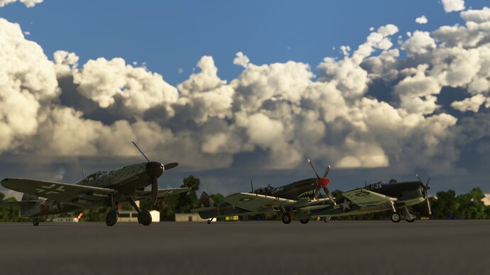 Microsoft Flight Simulator (365)