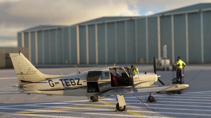 Microsoft Flight Simulator (459)