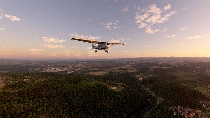 Microsoft Flight Simulator 2021-05-17 08_14_25
