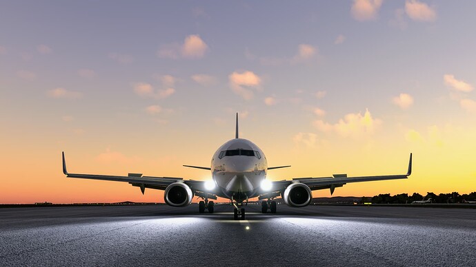 full flaps and spoilers~3