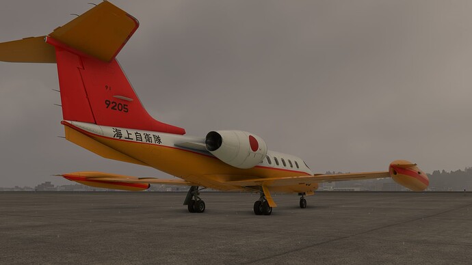 2025-03-27 16_20_16-Microsoft Flight Simulator - 1.38.2.0