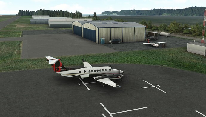 Microsoft Flight Simulator Screenshot 2023.10.27 - 08.00.48.06