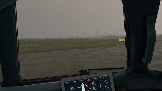 2025-02-28 10_06_02-Microsoft Flight Simulator - 1.38.2.0 - Copy