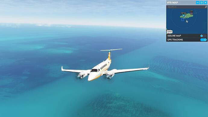 bahamasbug10