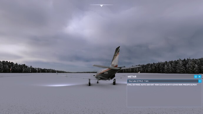 Microsoft Flight Simulator Screenshot 2022.01.20 - 20.06.38.67