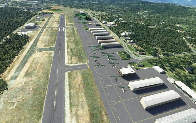 Microsoft Flight Simulator 20_08_2021 11_33_39 p.m.