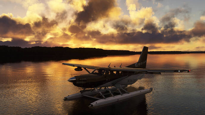 FlightSimulator2024 2025-11-07 19-36-28_343