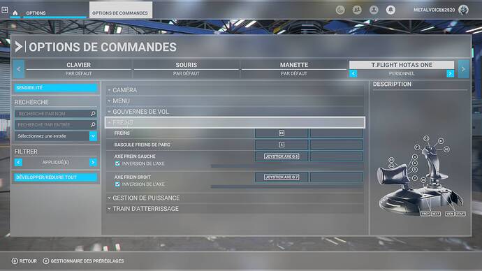 Microsoft Flight Simulator (3)