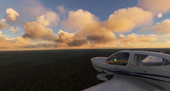Microsoft Flight Simulator 10_10_2022 4_16_49 PM