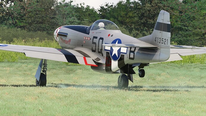 54636035773_b870cb558c_k