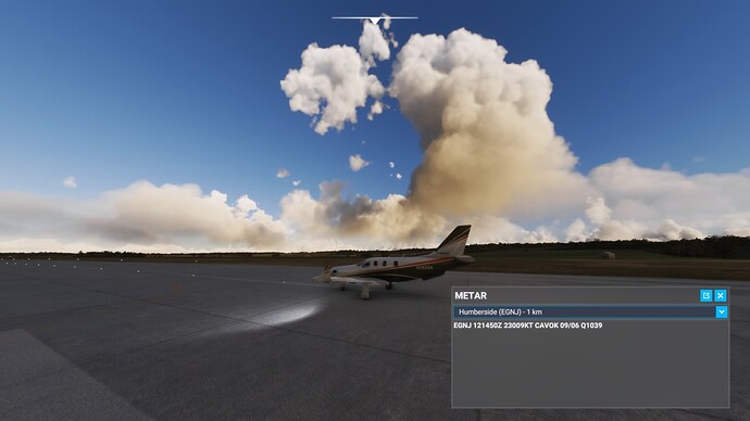 Microsoft Flight Simulator Screenshot 2022.01.12 - 15.12.35.27