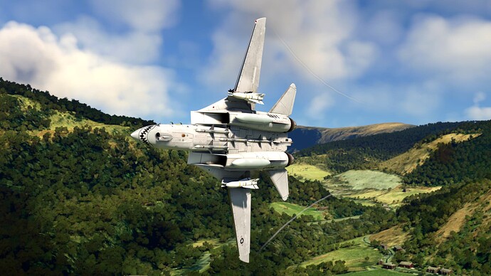 Microsoft Flight Simulator 20_05_2024 17_01_49