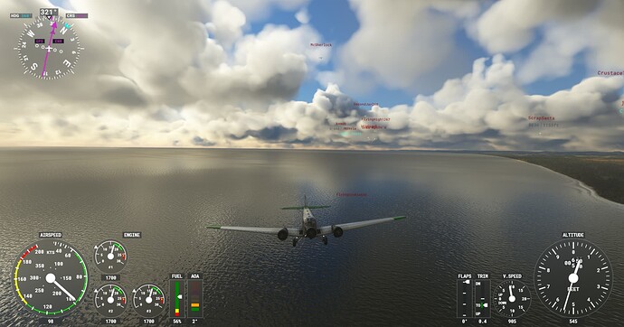 Microsoft Flight Simulator Screenshot 2022.02.04 - 21.24.19.81