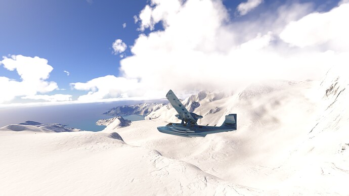 South Georgia Island 5