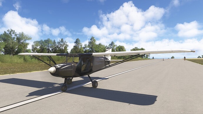 Diana Towplane