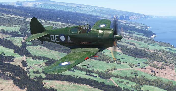 Microsoft Flight Simulator 2024 5_5_2026 11_48_53 AM_wide