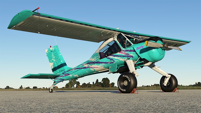 Microsoft_Flight_Simulator_Screenshot_2022.10.18_-_15.57.18.44_2